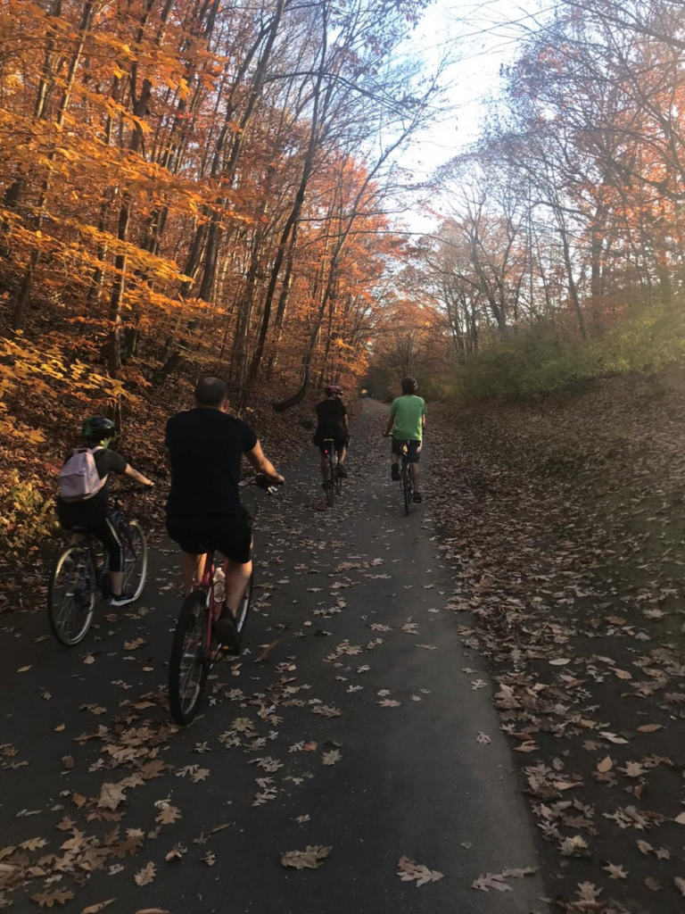People riding bikes on a road surrounded by trees with orange leaves